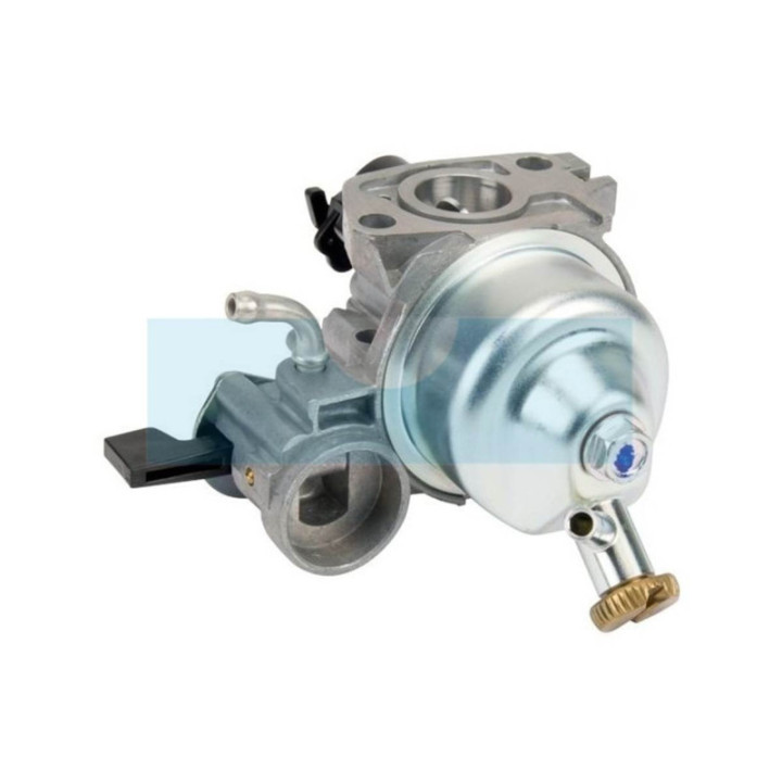 Carburateur pour moteur Honda (16100Z1VG01)