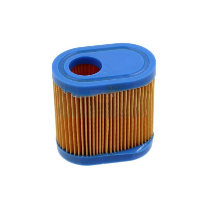 Filtre à air pour moteur Tecumseh (36905)