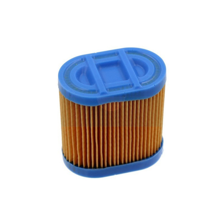 Filtre à air pour moteur Tecumseh (36905)