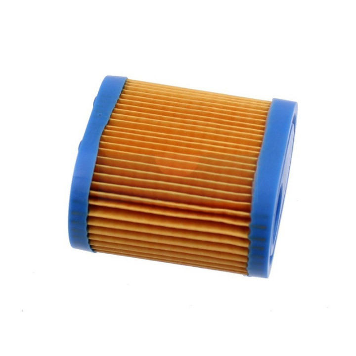 Filtre à air pour moteur Tecumseh (36905)