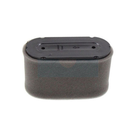 Filtre à air pour moteur Loncin (180100097-0001)