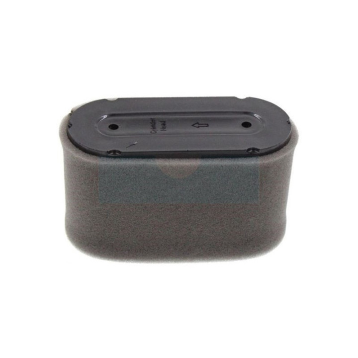 Filtre à air pour moteur Loncin (180100097-0001)