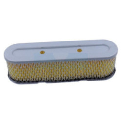 Filtre à air pour moteur Tecumseh (35403)