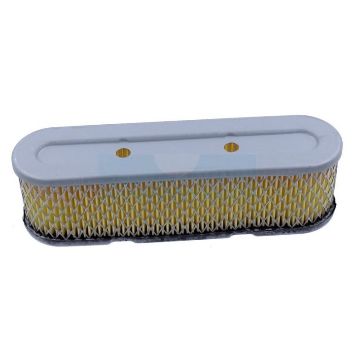Filtre à air pour moteur Tecumseh (35403)