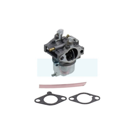 Carburateur pour moteur Kawasaki (150032777)