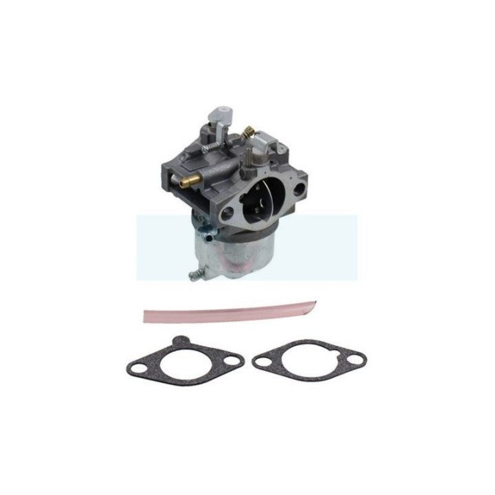 Carburateur pour moteur Kawasaki (150032777)