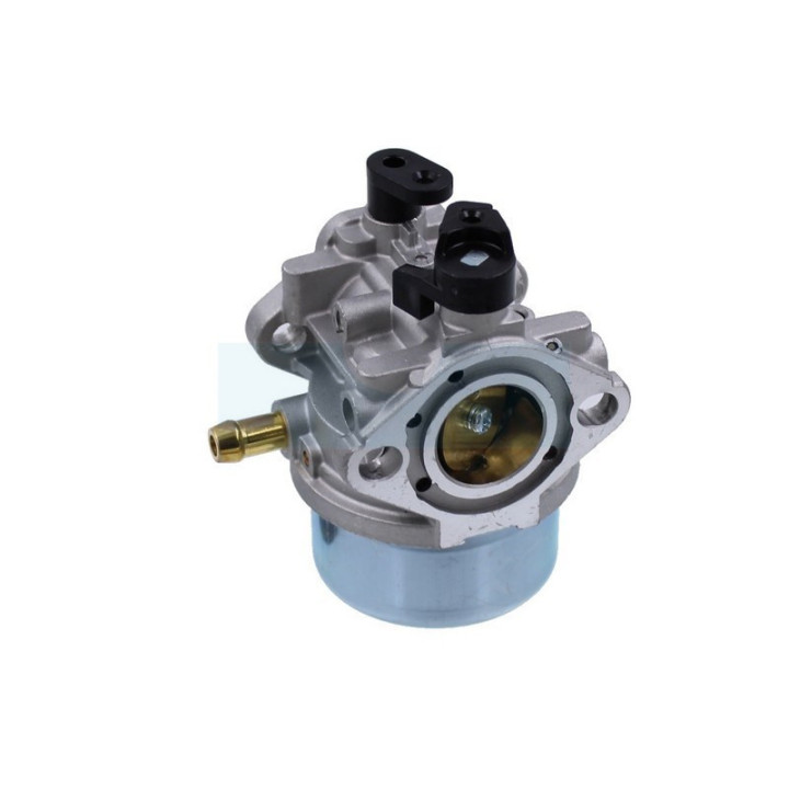 Carburateur pour moteur Kawasaki (150040962)