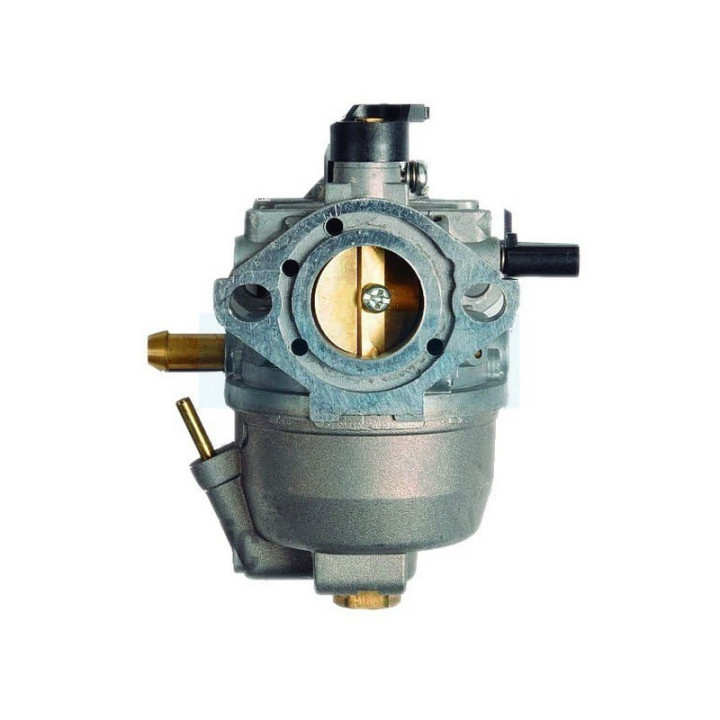 Carburateur pour moteur Kawasaki (150037083)