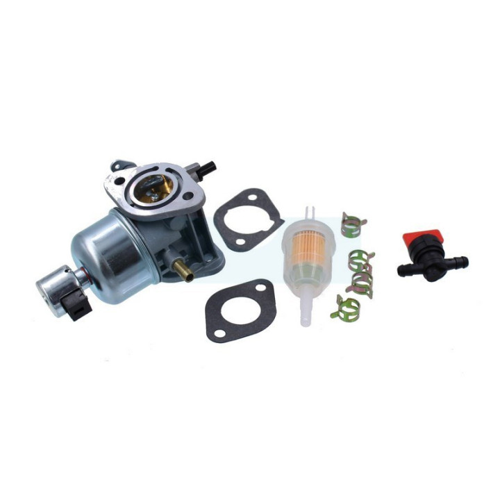Carburateur pour moteur Kawasaki (150040814)