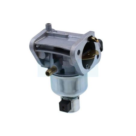 Carburateur pour moteur Kawasaki (150040828)