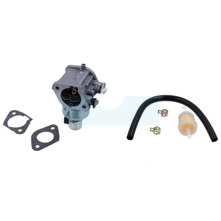 Carburateur pour moteur Kawasaki (150040828)