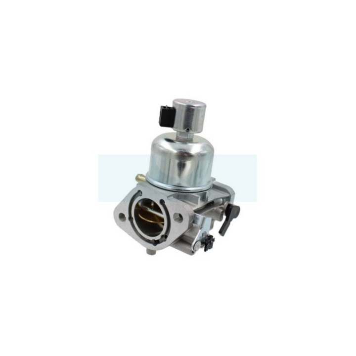 Carburateur pour moteur Kawasaki (150040829)