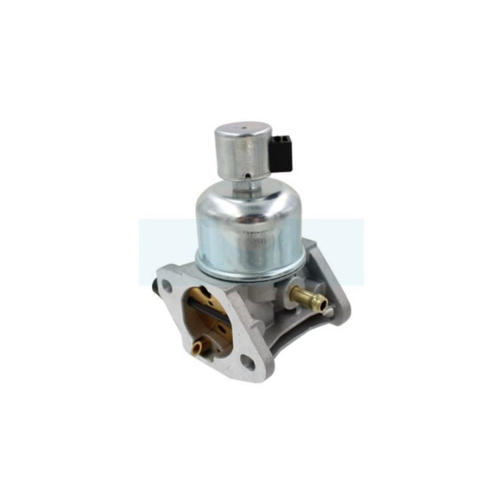 Carburateur pour moteur Kawasaki (150040829)