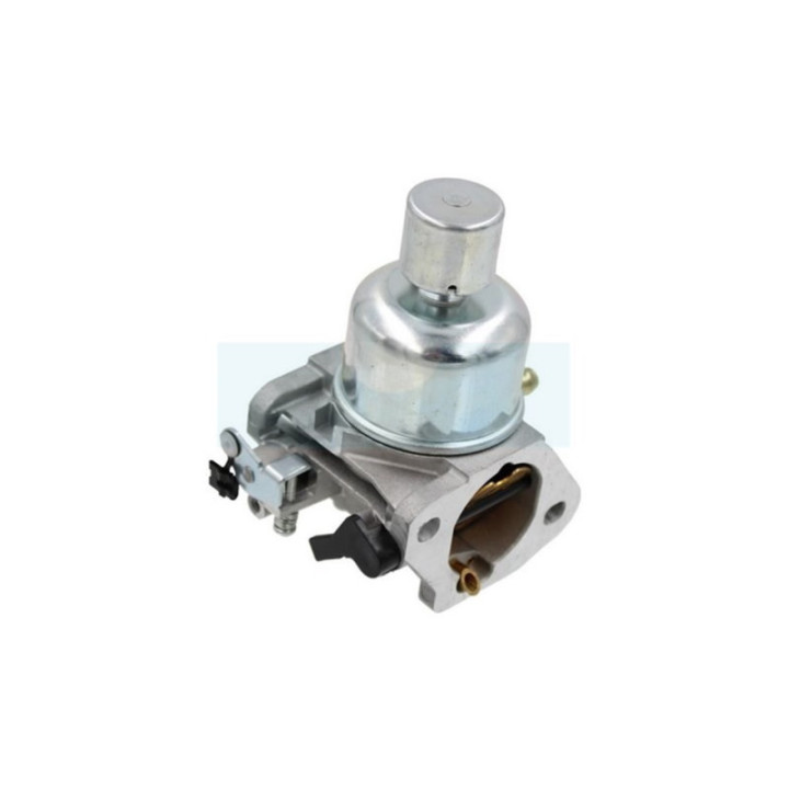 Carburateur pour moteur Kawasaki (150040829)