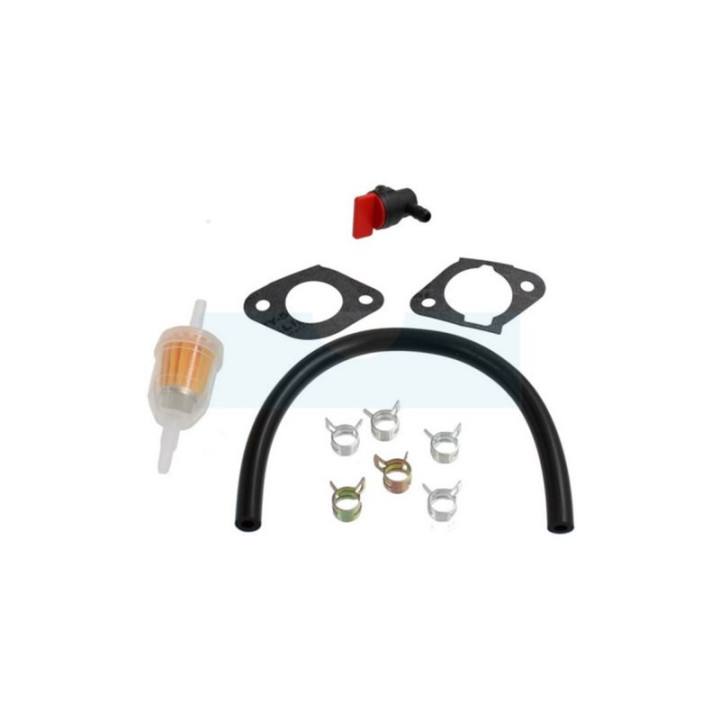 Carburateur pour moteur Kawasaki (150040829)
