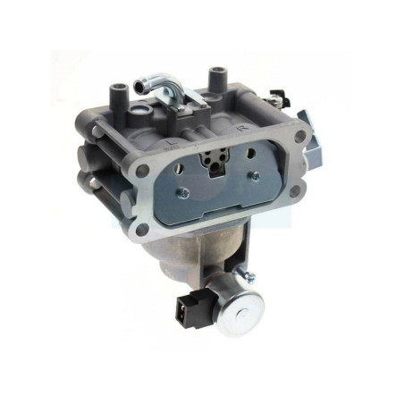 Carburateur pour moteur Kawasaki (150041011)