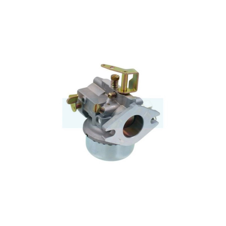 Carburateur pour moteur Kohler (5205309)