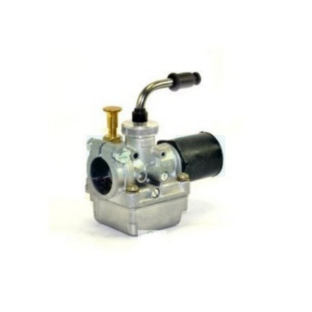 Carburateur pour Agria (155029)
