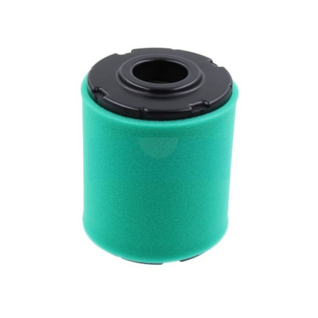 Filtre à air pour moteur Kohler (1608301S)