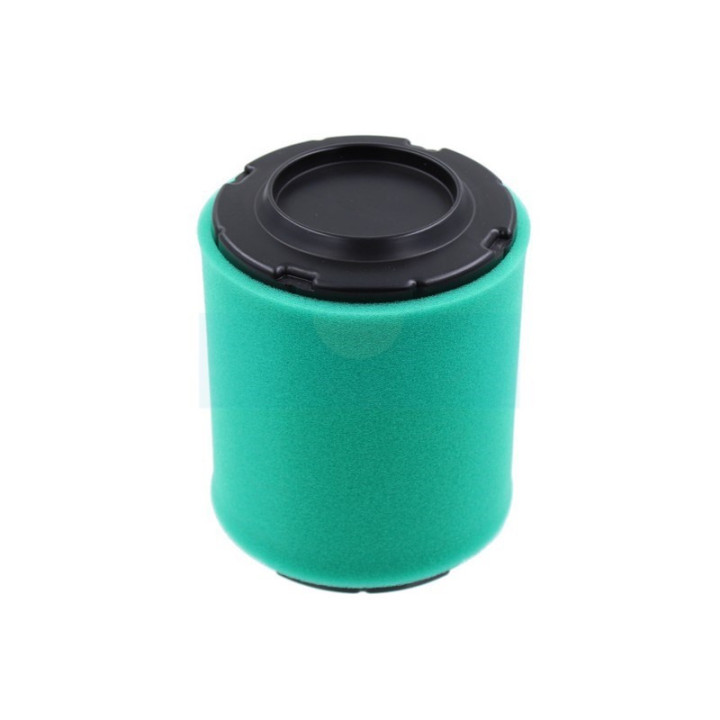 Filtre à air pour moteur Kohler (1608301S)