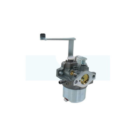 Carburateur pour moteur Mitsubishi (LK13039EB)