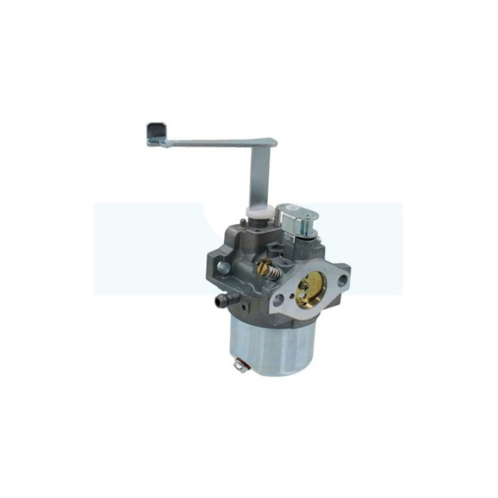Carburateur pour moteur Mitsubishi (LK13039EB)