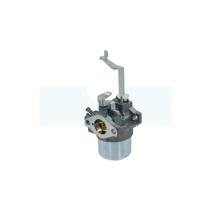 Carburateur pour moteur Mitsubishi (LK13039EB)