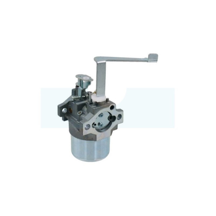 Carburateur pour moteur Mitsubishi (LK13039EB)