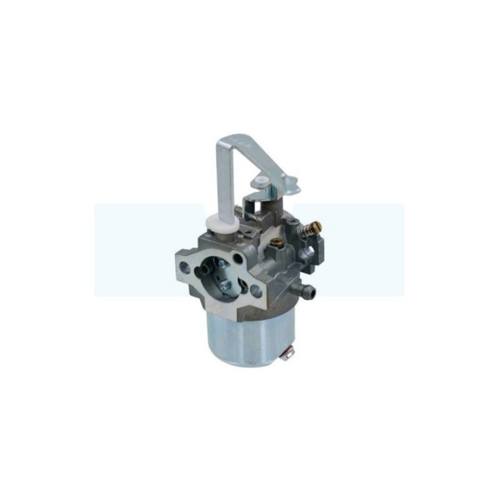 Carburateur pour moteur Mitsubishi (LK13039EB)