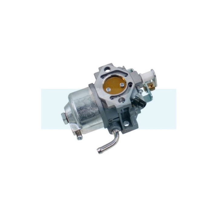 Carburateur pour moteur Robin (2676230220)
