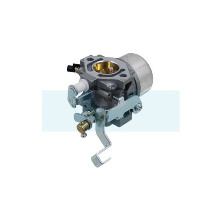 Carburateur pour moteur Robin (2676230220)