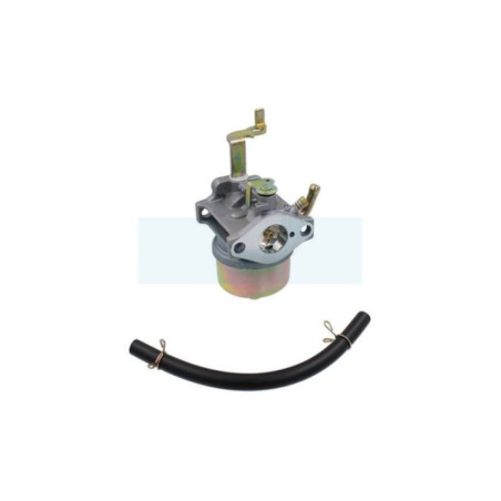 Carburateur pour moteur Robin (2276245010)