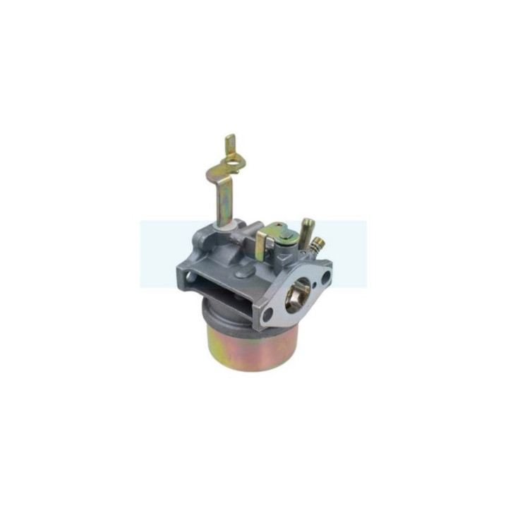 Carburateur pour moteur Robin (2276245010)