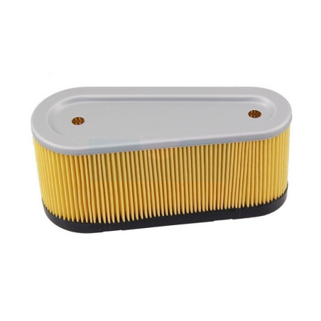 Filtre à air pour moteur Tecumseh (36356)