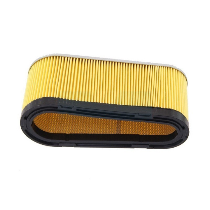 Filtre à air pour moteur Tecumseh (36356)