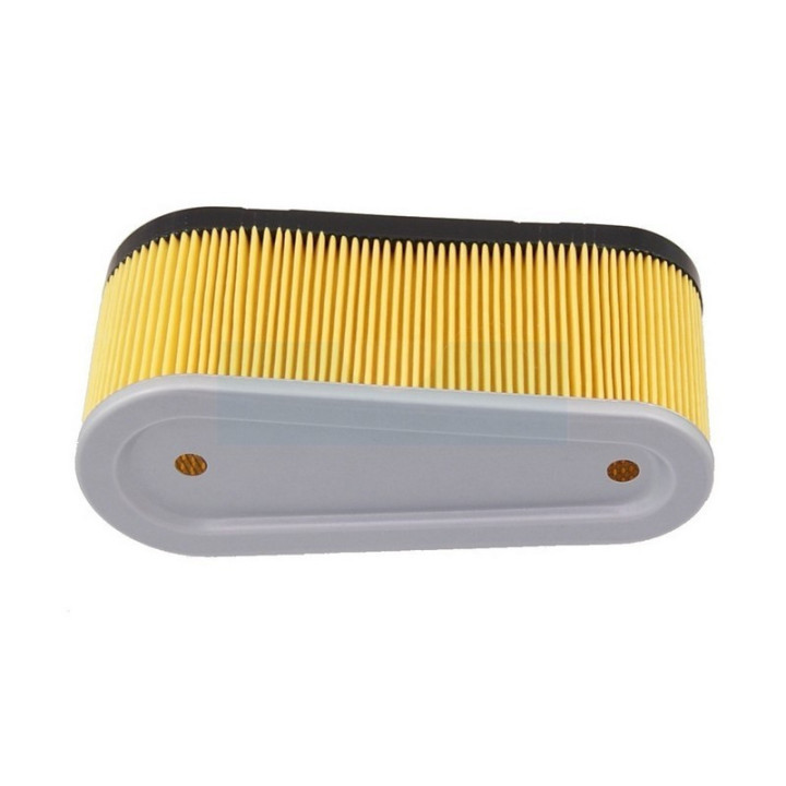Filtre à air pour moteur Tecumseh (36356)