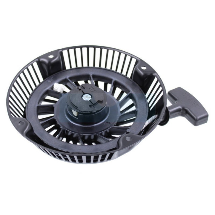 Lanceur pour moteur Briggs & Stratton (695058)