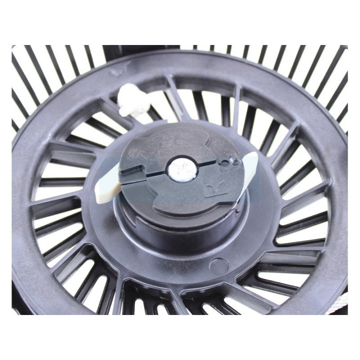 Lanceur pour moteur Briggs & Stratton (695058)
