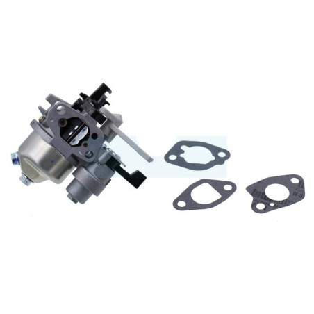 Carburateur pour moteur Briggs & Stratton (596080)