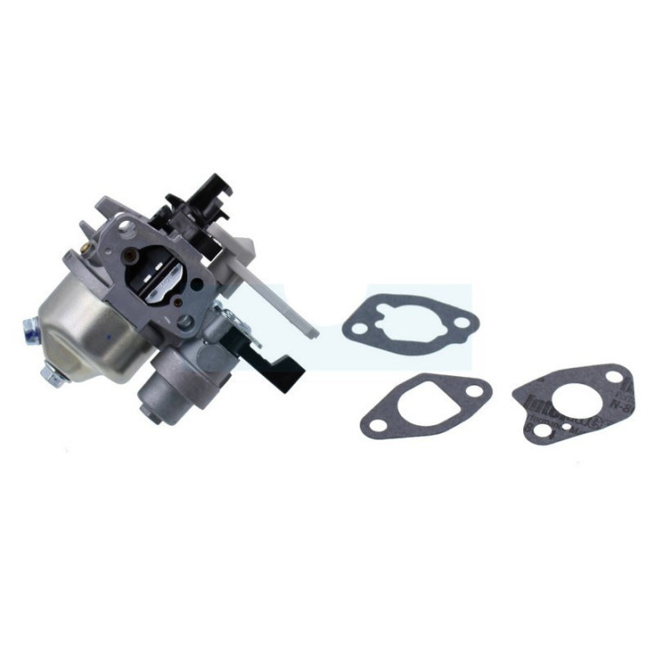 Carburateur pour moteur Briggs & Stratton (596080)