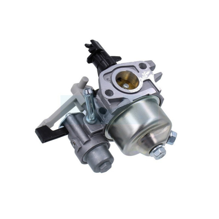 Carburateur pour moteur Briggs & Stratton (596080)
