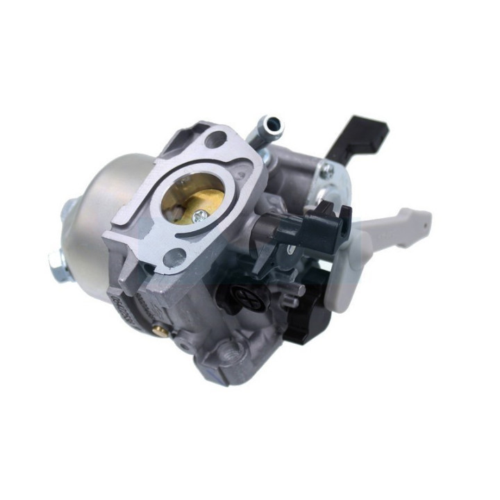 Carburateur pour moteur Briggs & Stratton (596080)