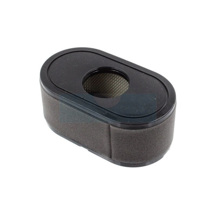Filtre à air pour moteur Loncin (1801001230001)