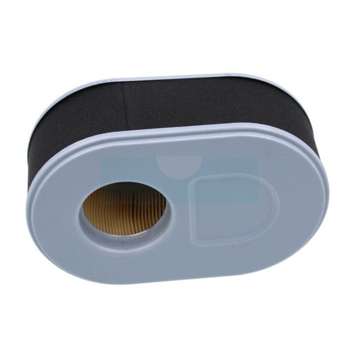 Filtre à air pour moteur MTD (937-05145)