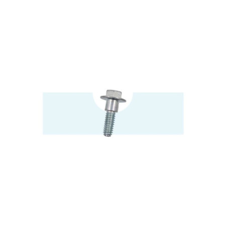 Vis pour moteur Briggs & Stratton (799370)