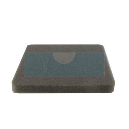 Filtre à air pour moteur Loncin (1801301420001)