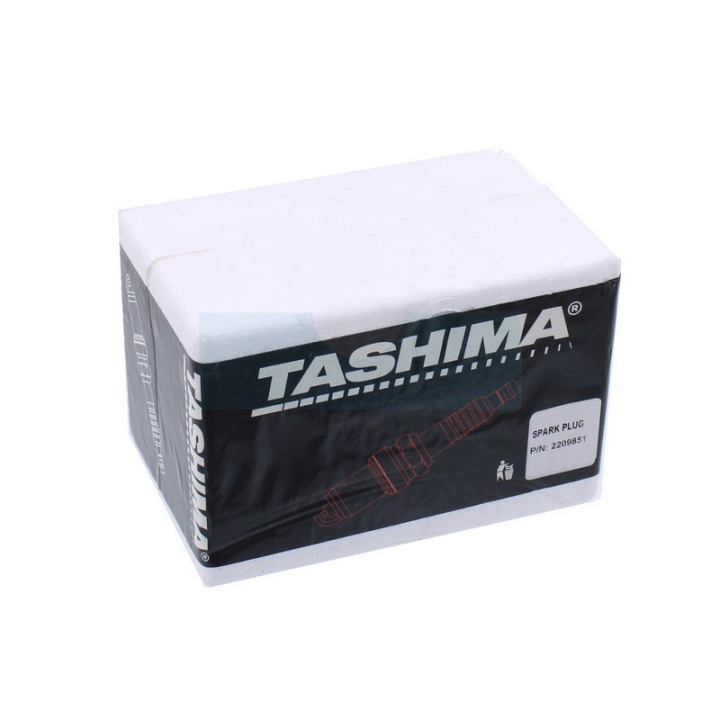 Pack atelier de 24 Bougies d'allumage Tashima (RJ19LM)