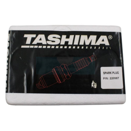 Pack atelier de 24 Bougies d'allumage Tashima (RN11YC)