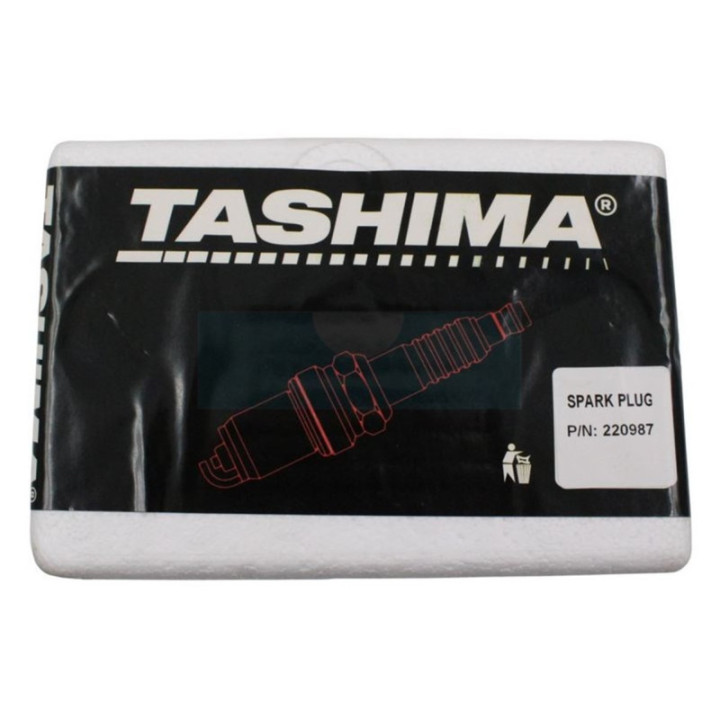 Pack atelier de 24 Bougies d'allumage Tashima (RN11YC)