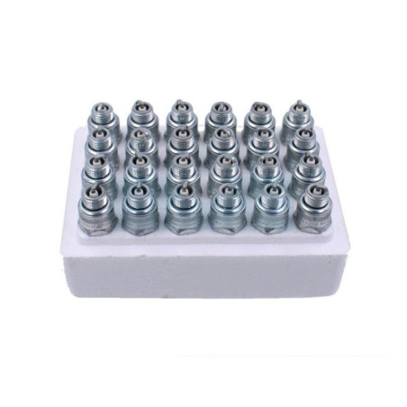 Pack atelier de 24 bougies d'allumage Champion (RJ19LM)